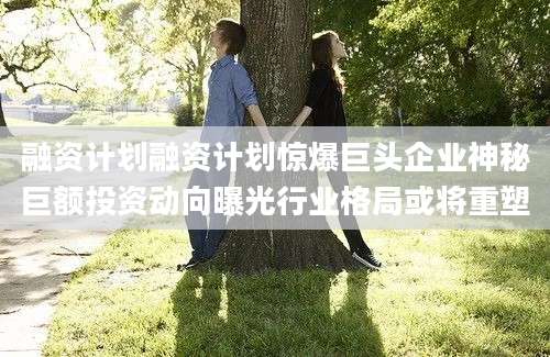 融资计划融资计划惊爆巨头企业神秘巨额投资动向曝光行业格局或将重塑
