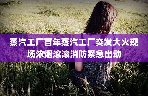 蒸汽工厂百年蒸汽工厂突发大火现场浓烟滚滚消防紧急出动