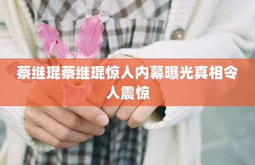 蔡继琨蔡继琨惊人内幕曝光真相令人震惊