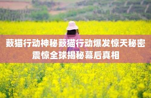 薮猫行动神秘薮猫行动爆发惊天秘密震惊全球揭秘幕后真相