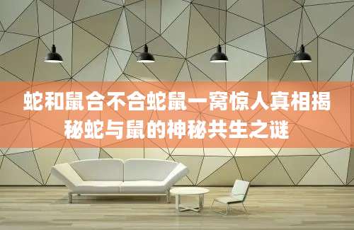 蛇和鼠合不合蛇鼠一窝惊人真相揭秘蛇与鼠的神秘共生之谜