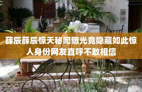 薛辰薛辰惊天秘闻曝光竟隐藏如此惊人身份网友直呼不敢相信