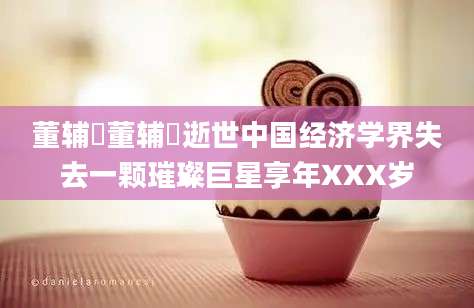 董辅礽董辅礽逝世中国经济学界失去一颗璀璨巨星享年XXX岁