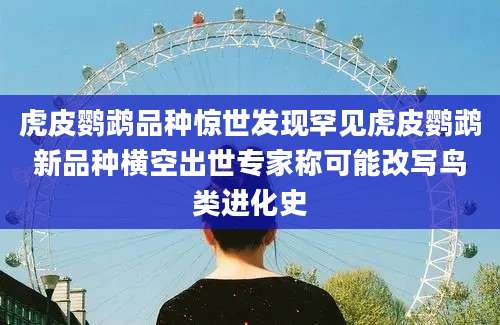 虎皮鹦鹉品种惊世发现罕见虎皮鹦鹉新品种横空出世专家称可能改写鸟类进化史