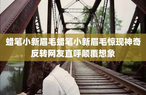 蜡笔小新眉毛蜡笔小新眉毛惊现神奇反转网友直呼颠覆想象