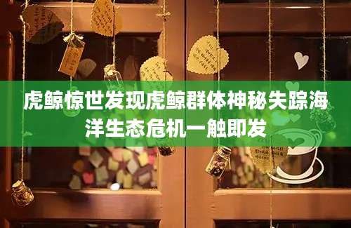 虎鲸惊世发现虎鲸群体神秘失踪海洋生态危机一触即发