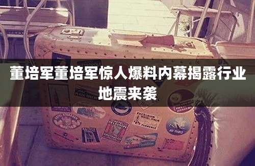 董培军董培军惊人爆料内幕揭露行业地震来袭