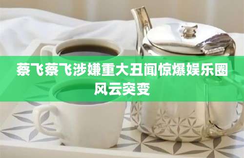 蔡飞蔡飞涉嫌重大丑闻惊爆娱乐圈风云突变