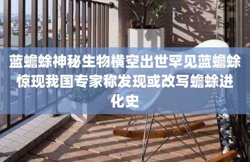 蓝蟾蜍神秘生物横空出世罕见蓝蟾蜍惊现我国专家称发现或改写蟾蜍进化史