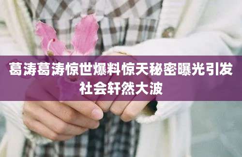 葛涛葛涛惊世爆料惊天秘密曝光引发社会轩然大波
