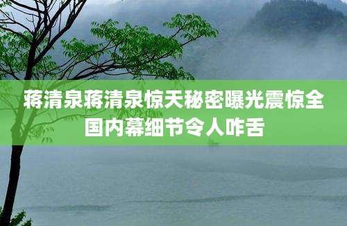 蒋清泉蒋清泉惊天秘密曝光震惊全国内幕细节令人咋舌