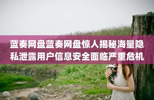 蓝奏网盘蓝奏网盘惊人揭秘海量隐私泄露用户信息安全面临严重危机