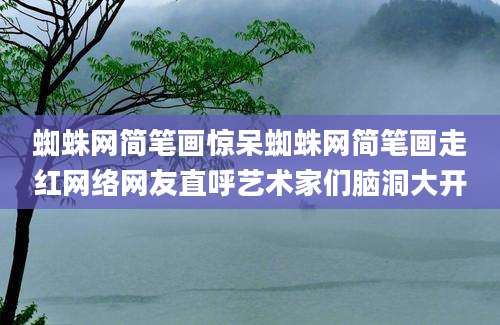 蜘蛛网简笔画惊呆蜘蛛网简笔画走红网络网友直呼艺术家们脑洞大开