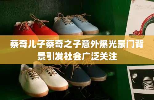 蔡奇儿子蔡奇之子意外爆光豪门背景引发社会广泛关注