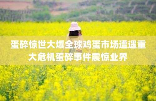 蛋碎惊世大爆全球鸡蛋市场遭遇重大危机蛋碎事件震惊业界
