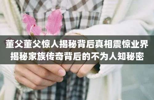 董父董父惊人揭秘背后真相震惊业界揭秘家族传奇背后的不为人知秘密