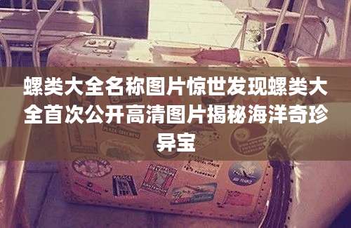 螺类大全名称图片惊世发现螺类大全首次公开高清图片揭秘海洋奇珍异宝