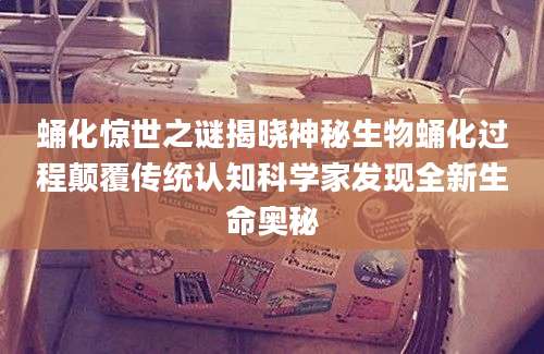 蛹化惊世之谜揭晓神秘生物蛹化过程颠覆传统认知科学家发现全新生命奥秘