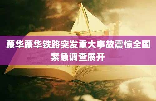 蒙华蒙华铁路突发重大事故震惊全国紧急调查展开