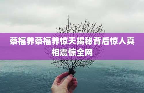 蔡福养蔡福养惊天揭秘背后惊人真相震惊全网