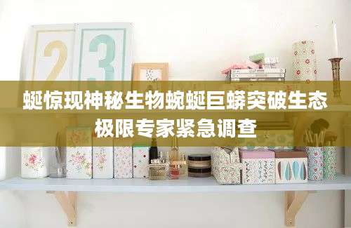 蜒惊现神秘生物蜿蜒巨蟒突破生态极限专家紧急调查