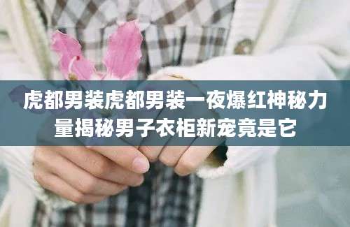 虎都男装虎都男装一夜爆红神秘力量揭秘男子衣柜新宠竟是它
