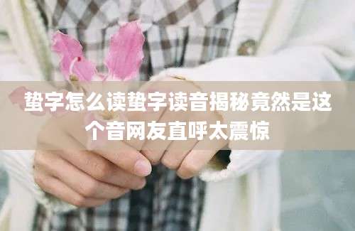 蛰字怎么读蛰字读音揭秘竟然是这个音网友直呼太震惊