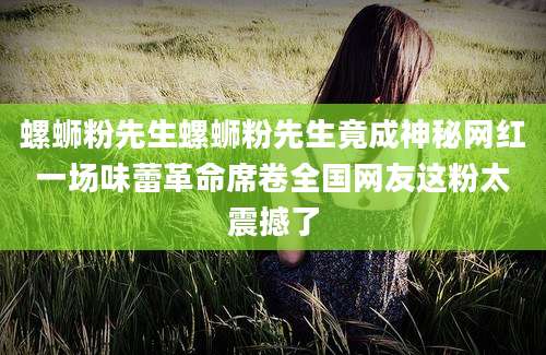 螺蛳粉先生螺蛳粉先生竟成神秘网红一场味蕾革命席卷全国网友这粉太震撼了