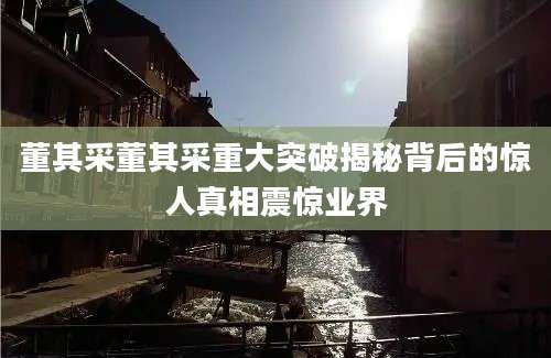 董其采董其采重大突破揭秘背后的惊人真相震惊业界