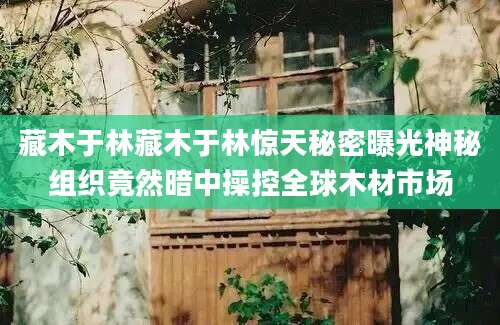 藏木于林藏木于林惊天秘密曝光神秘组织竟然暗中操控全球木材市场