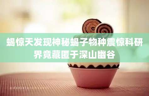 蝎惊天发现神秘蝎子物种震惊科研界竟藏匿于深山幽谷