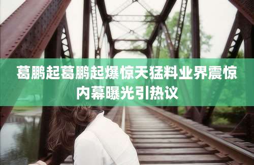 葛鹏起葛鹏起爆惊天猛料业界震惊内幕曝光引热议