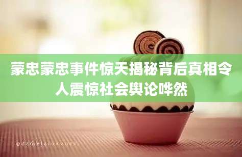 蒙忠蒙忠事件惊天揭秘背后真相令人震惊社会舆论哗然