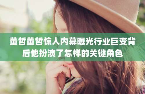 董哲董哲惊人内幕曝光行业巨变背后他扮演了怎样的关键角色