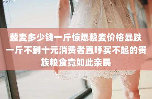 藜麦多少钱一斤惊爆藜麦价格暴跌一斤不到十元消费者直呼买不起的贵族粮食竟如此亲民