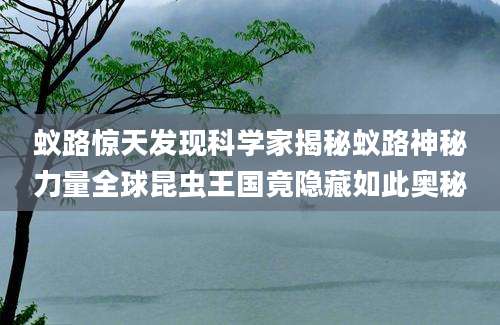 蚁路惊天发现科学家揭秘蚁路神秘力量全球昆虫王国竟隐藏如此奥秘