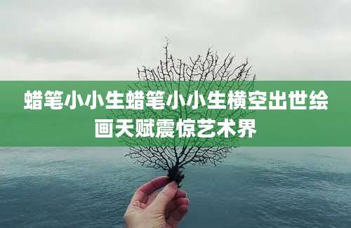蜡笔小小生蜡笔小小生横空出世绘画天赋震惊艺术界