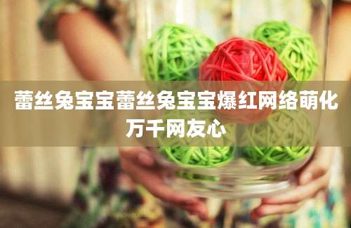 蕾丝兔宝宝蕾丝兔宝宝爆红网络萌化万千网友心