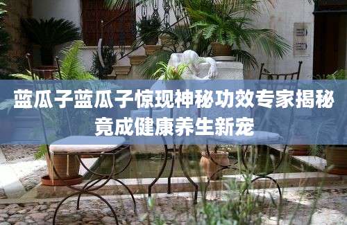 蓝瓜子蓝瓜子惊现神秘功效专家揭秘竟成健康养生新宠