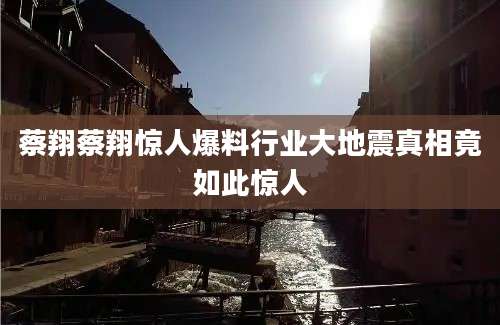 蔡翔蔡翔惊人爆料行业大地震真相竟如此惊人