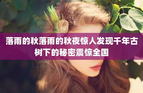 落雨的秋落雨的秋夜惊人发现千年古树下的秘密震惊全国