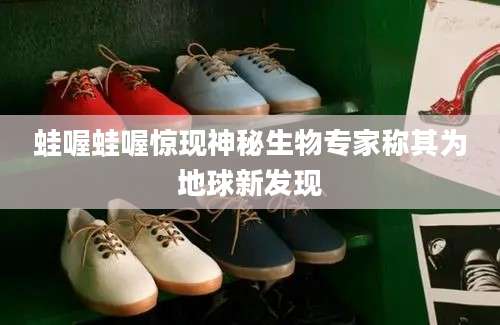 蛙喔蛙喔惊现神秘生物专家称其为地球新发现