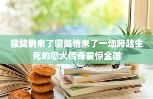 藏獒情未了藏獒情未了一场跨越生死的忠犬传奇震惊全国
