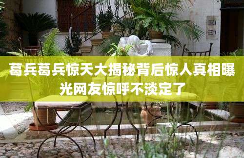 葛兵葛兵惊天大揭秘背后惊人真相曝光网友惊呼不淡定了