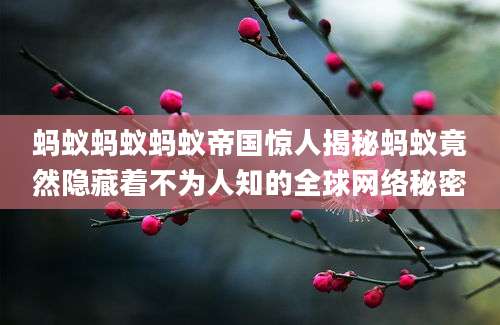 蚂蚁蚂蚁蚂蚁帝国惊人揭秘蚂蚁竟然隐藏着不为人知的全球网络秘密