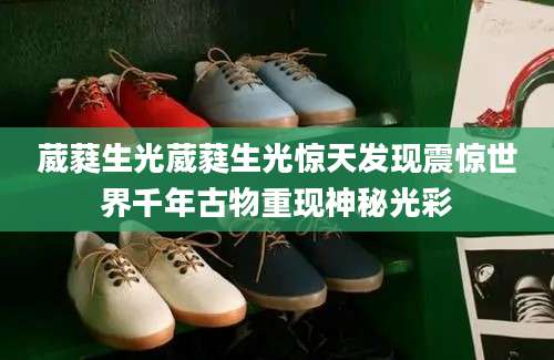 葳蕤生光葳蕤生光惊天发现震惊世界千年古物重现神秘光彩