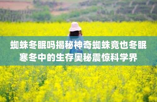 蜘蛛冬眠吗揭秘神奇蜘蛛竟也冬眠寒冬中的生存奥秘震惊科学界