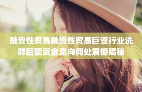 融资性贸易融资性贸易巨变行业洗牌巨额资金流向何处震惊揭秘