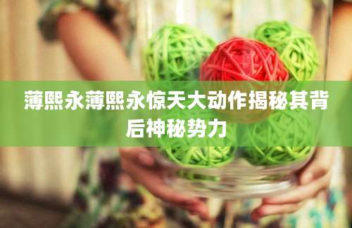 薄熙永薄熙永惊天大动作揭秘其背后神秘势力