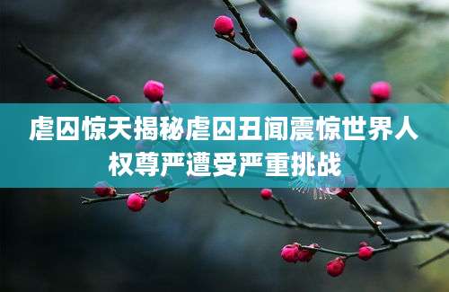 虐囚惊天揭秘虐囚丑闻震惊世界人权尊严遭受严重挑战